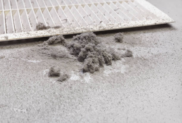 Best Duct Cleaning for Offices  in Spencer, WV